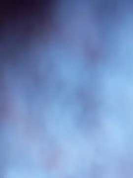 Tayanehot online show from November 2025 09:21:01 AM