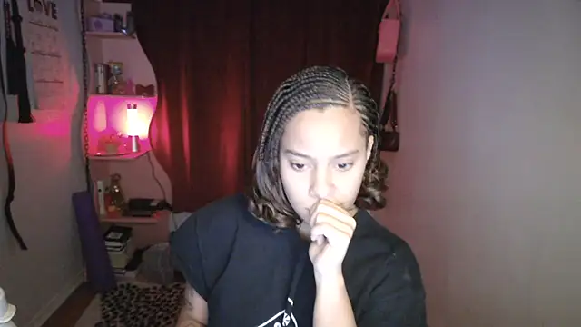 Snapshot of PrettyLittleProblem chatting on November 2025 04:27:01 PM PrettyLittleProblem online show from November 2025 04:27:01 PM