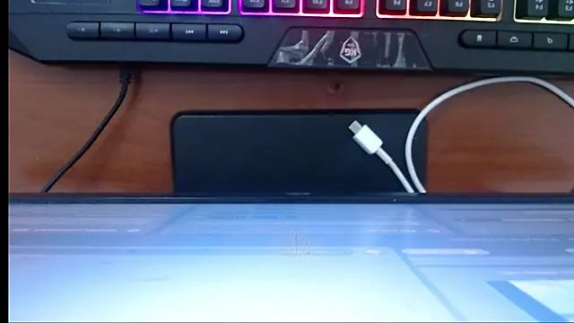 Snapshot of Little-rouse chatting on December 2025 11:43:01 PM Little-rouse online show from December 2025 11:43:01 PM