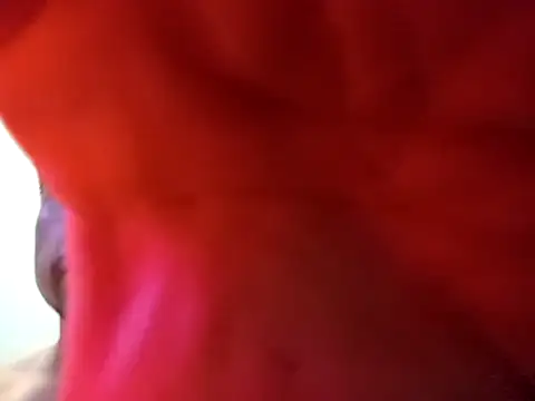 Snapshot of Al3vr chatting on November 2025 11:36:02 AM Al3vr online show from November 2025 11:36:02 AM