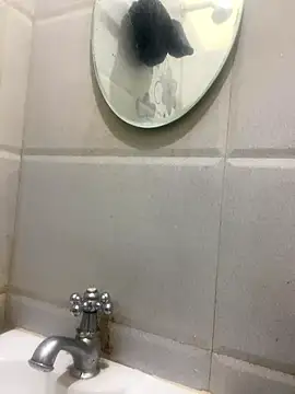 calibrow online show from January 2026 09:37:02 AM