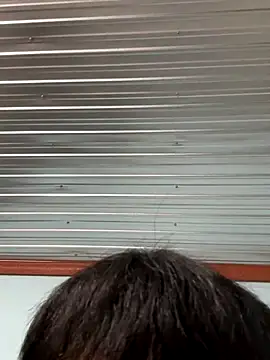 Snapshot of MEFUN- chatting on December 2025 11:59:02 AM MEFUN- online show from December 2025 11:59:02 AM