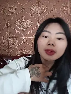 Snapshot of Lynk2x chatting on January 2026 05:44:02 AM Lynk2x online show from January 2026 05:44:02 AM