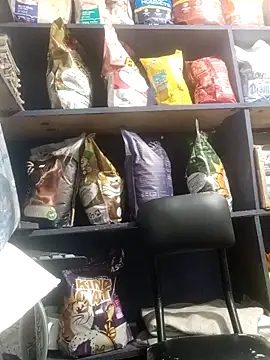 eva rushh online show from March 2026 10:58:02 PM