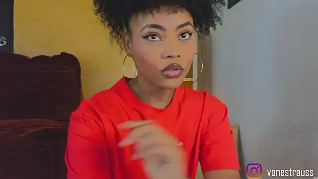 Snapshot of vanestraus chatting on November 2025 08:42:02 PM vanestraus online show from November 2025 08:42:02 PM