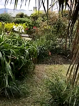 Snapshot of LilyMature_x chatting on November 2025 09:06:02 PM LilyMature x online show from November 2025 09:06:02 PM