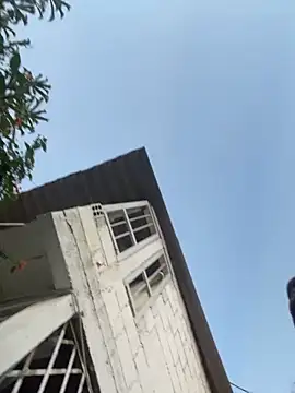 Snapshot of zyrastorm chatting on November 2025 10:58:02 PM zyrastorm online show from November 2025 10:58:02 PM