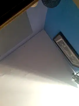 Snapshot of monalily chatting on November 2025 04:40:02 PM monalily online show from November 2025 04:40:02 PM