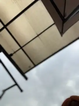 Belanny LS online show from December 2025 02:58:02 PM