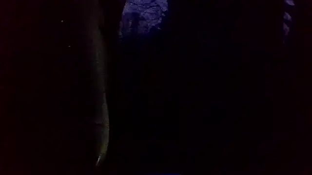 dickencidr online show from March 2026 12:14:02 AM