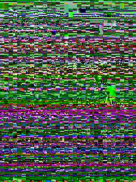 Maria-Becker online show from January 2026 05:27:02 PM