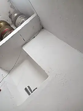 Anushasharma89 online show from February 2026 12:15:01 PM