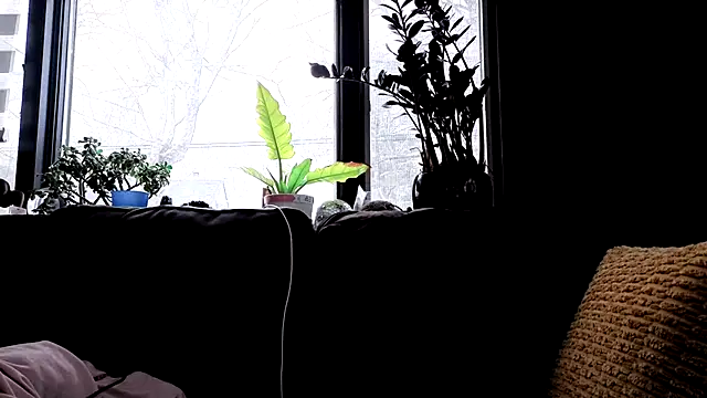 winestaindlips online show from February 2026 12:23:01 PM