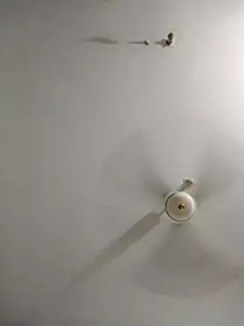 Snapshot of rupamim chatting on March 2026 09:09:02 PM rupamim online show from March 2026 09:09:02 PM