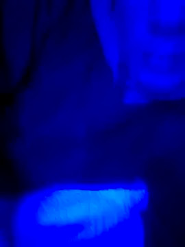 FrappedLocking online show from May 2026 08:42:02 AM