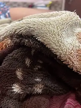 Snapshot of cutestpearl chatting on February 2026 06:27:01 PM cutestpearl online show from February 2026 06:27:01 PM