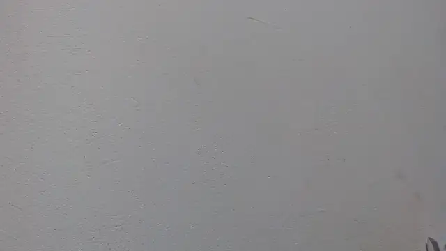 ebony cristal 1 online show from April 2026 11:13:02 AM