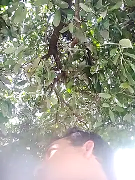 Snapshot of nori_dunda chatting on December 2025 06:47:02 PM nori dunda online show from December 2025 06:47:02 PM