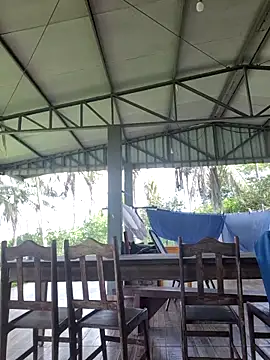 nori dunda online show from April 2026 05:40:01 PM