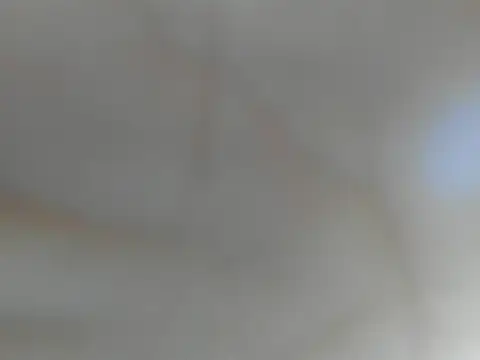 Kenai Lavis online show from December 2025 07:53:01 PM