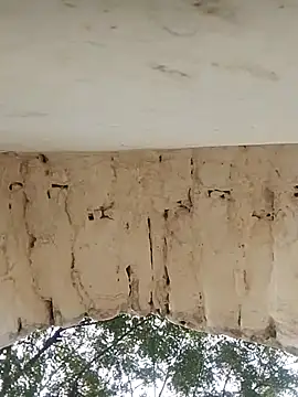 Snapshot of Xxx_suhana chatting on November 2025 07:54:01 AM Xxx suhana online show from November 2025 07:54:01 AM