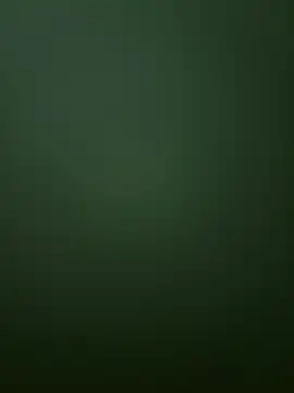 Snapshot of Spring-spring chatting on December 2025 12:54:01 PM Spring-spring online show from December 2025 12:54:01 PM