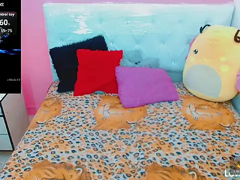 xwetdreamsx online show from January 2026 11:29:02 PM