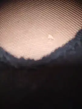 Snapshot of AnaMaria-12 chatting on December 2025 05:19:02 PM AnaMaria-12 online show from December 2025 05:19:02 PM