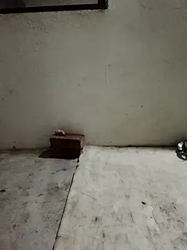 Sunenabhabh online show from April 2026 10:18:01 PM