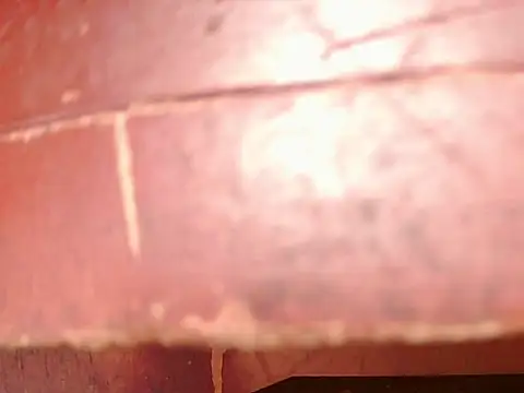 ashleey palmer online show from November 2025 01:01:01 PM