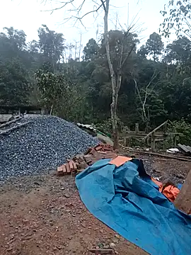 nangmo online show from February 2026 12:26:02 AM