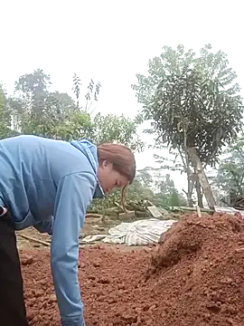 nangmo online show from March 2026 07:47:01 AM