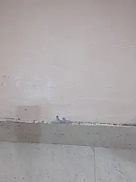 Alli8900 online show from March 2026 04:11:01 PM