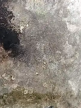 Snapshot of lynae-0 chatting on December 2025 05:12:02 AM lynae-0 online show from December 2025 05:12:02 AM