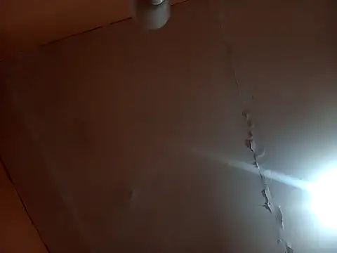 Snapshot of Bizcochitoc4 chatting on February 2026 01:12:01 AM Bizcochitoc4 online show from February 2026 01:12:01 AM