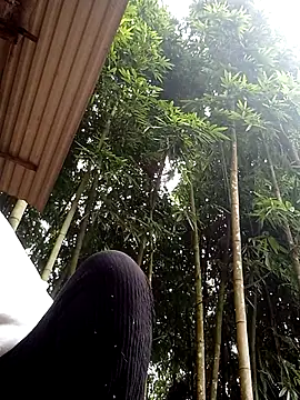 Snapshot of hey-bana chatting on December 2025 03:34:01 AM hey-bana online show from December 2025 03:34:01 AM