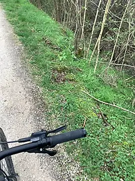 marconordic online show from March 2026 01:17:01 PM