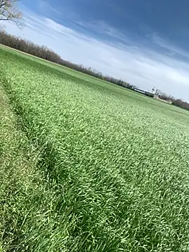 marconordic online show from March 2026 01:11:02 PM