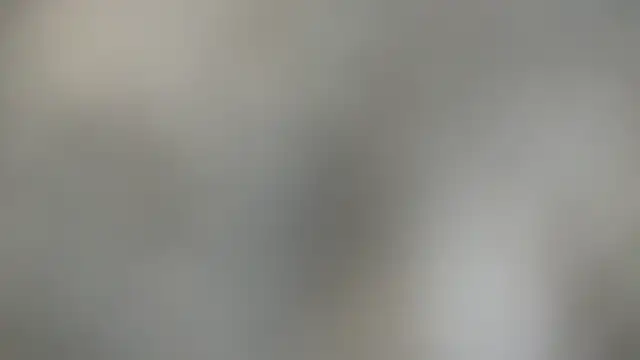 x Mariox online show from November 2025 12:19:02 PM