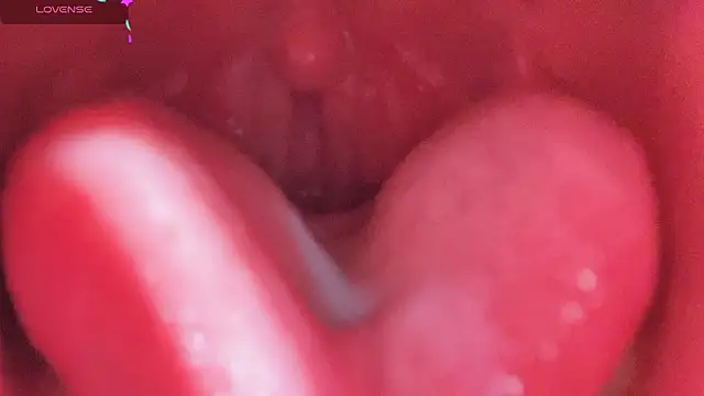 LT-333 online show from February 2026 05:11:01 PM