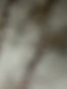 Snapshot of Chrisd3195 chatting on February 2026 06:02:02 AM Chrisd3195 online show from February 2026 06:02:02 AM