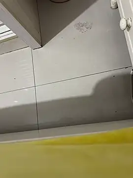 molihua 7788 online show from February 2026 05:58:01 PM