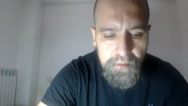AMIRDIB2025 online show from May 2026 09:58:02 AM