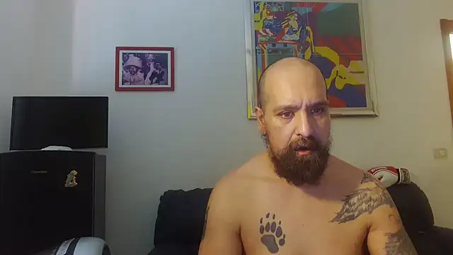 AMIRDIB2025 online show from June 2026 10:50:02 AM