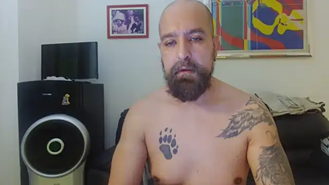 AMIRDIB2025 online show from July 2026 01:06:01 PM