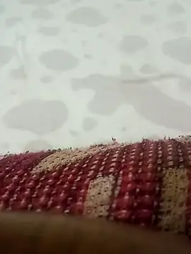 HKOOOH80 online show from March 2026 09:41:01 PM