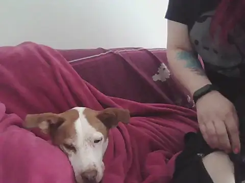 Darkytah online show from February 2026 03:34:02 PM