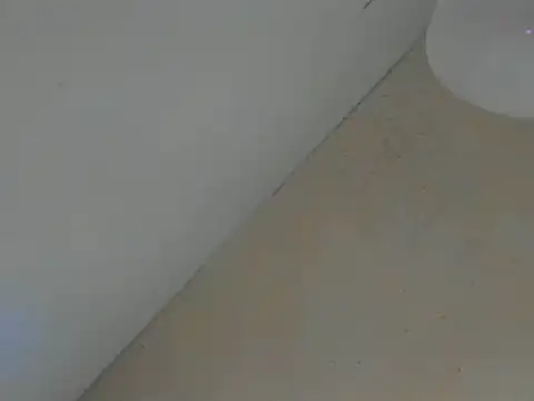 Snapshot of SweeXioji chatting on March 2026 06:59:02 PM SweeXioji online show from March 2026 06:59:02 PM