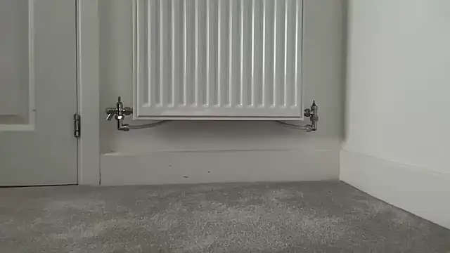 RandyRik online show from December 2025 09:48:01 AM