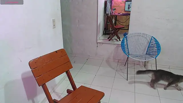 Snapshot of maxI_dick33 chatting on February 2026 10:23:02 AM maxI dick33 online show from February 2026 10:23:02 AM